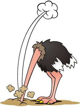 Bild Vogel Strauss Kopf Im Sand