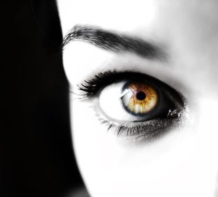 Fotolia_448845_XS-artikelbild