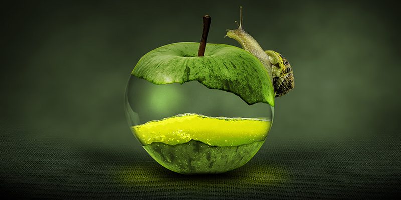 apfel-schnecke