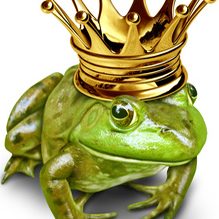 Frog prince with gold crown