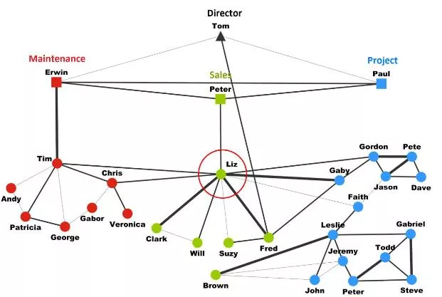 orgmapper_analyse