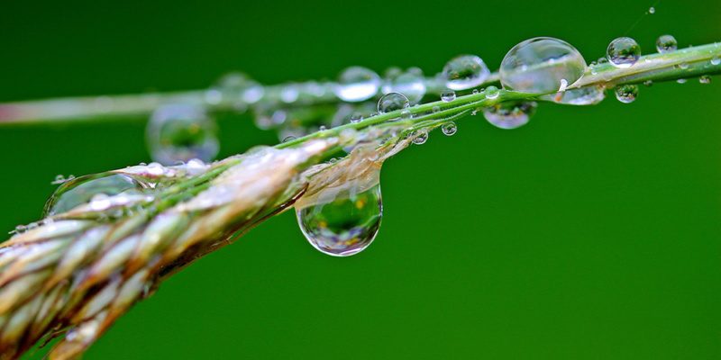 flow-csikszentmihalyi-raindrop