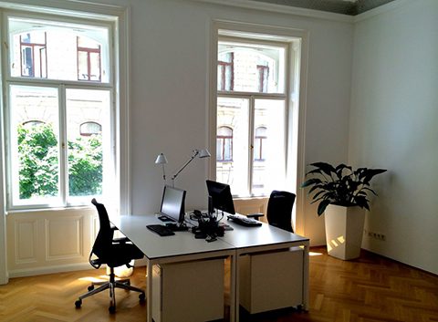 office-space_vieconsult_2