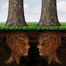 Business roots