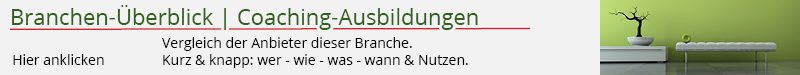 coaching__fuehrungskraefte-coaching