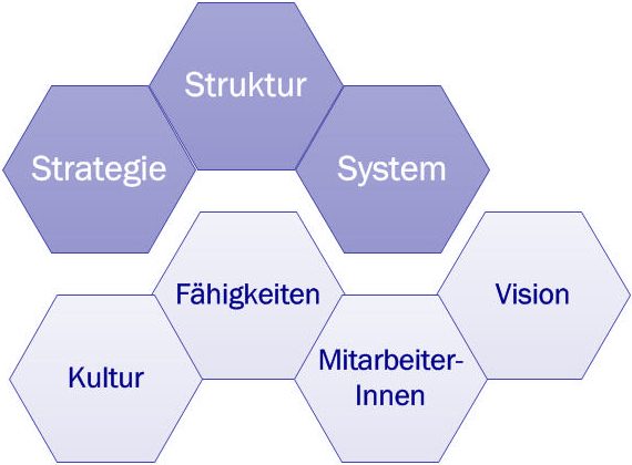 7s-modell_mckinsey-wien