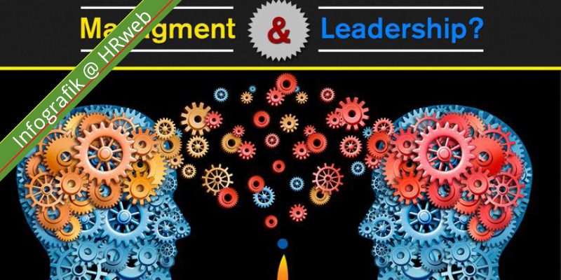 infografik_managementLeadership