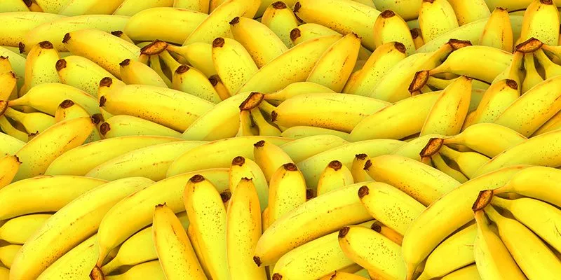 bananen_400x800_diversity