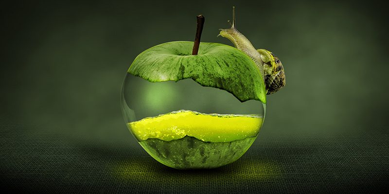 apfel-schnecke