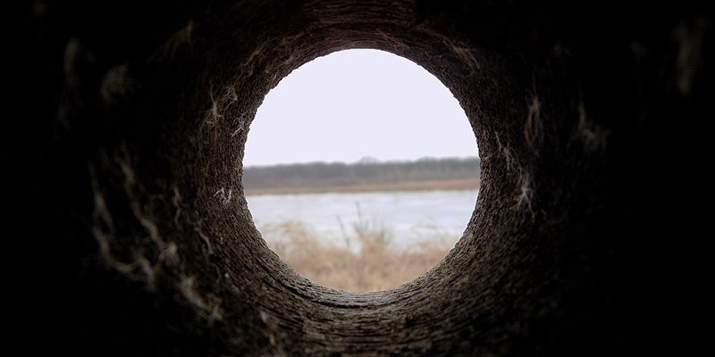 blind-spot