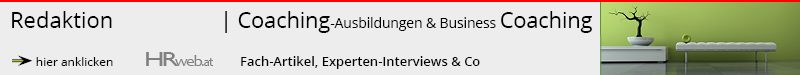 Business Coaching Wien, Österreich