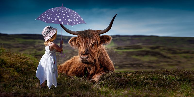 stier-schirm-girl