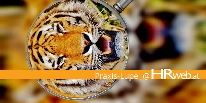 praxis-lupe