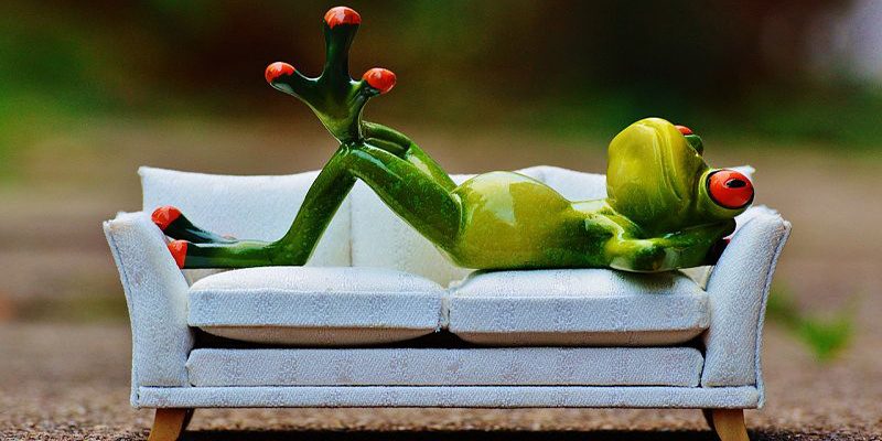 frosch-minderleister