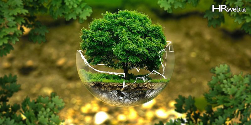 mindfulness-achtsamkeit-mindful-leadership