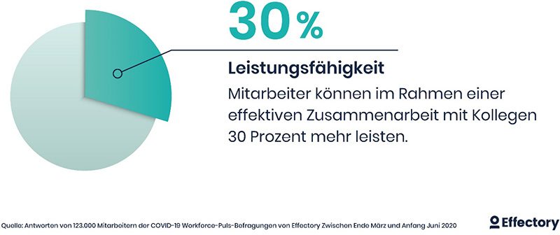 Teamspirit, Effectory