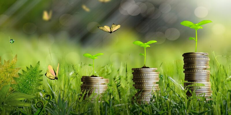 langfristige Incentives
