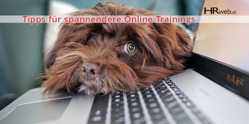 tipps-spannendere-onlinetrainings