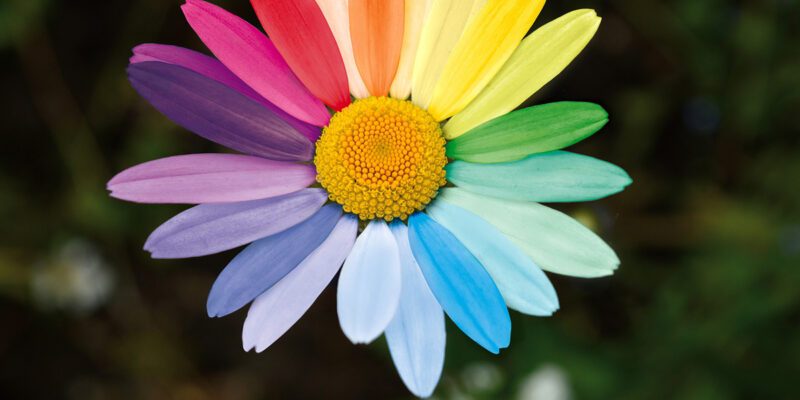 Cultural Diversity und Inklusion