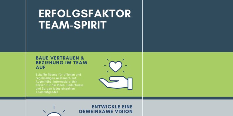 Erfolgsfaktor Team-Spirit, Top