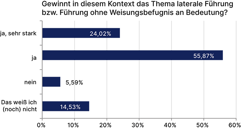 laterale Führung