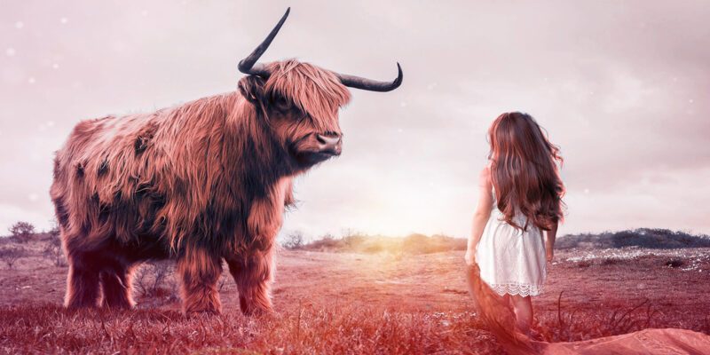 Selbstführung, Mindful Leadership