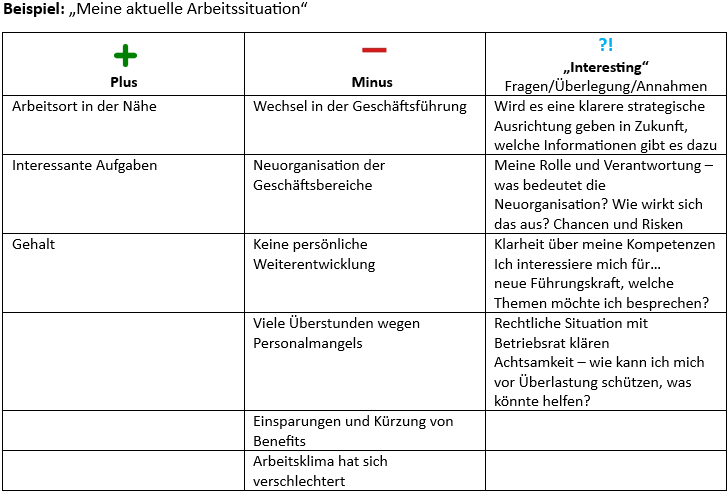 PMI-Methode Beispiel