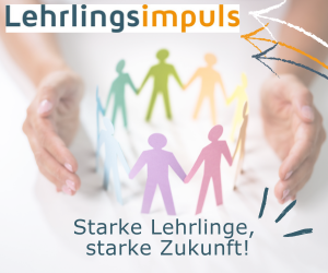 Teamimpuls